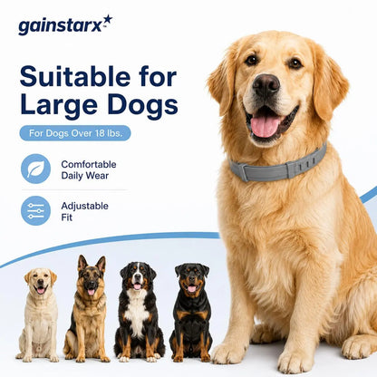Gainstarx Adjustable Dog Collar with Fresh Scent Comfortable Lightweight Pet Collar for Large Dogs over 18 Lbs Everyday Wear for Walks and Outdoor Use