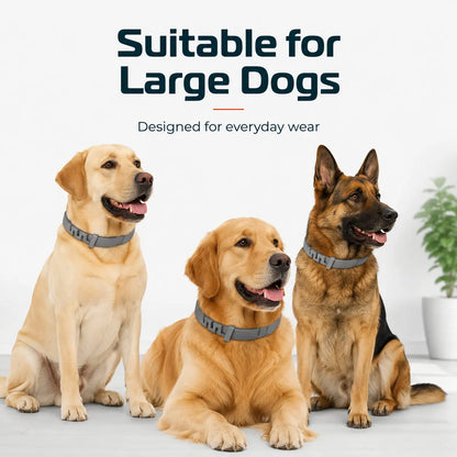Gainstarx Adjustable Dog Collar with Fresh Scent Comfortable Lightweight Pet Collar for Large Dogs over 18 Lbs Everyday Wear for Walks and Outdoor Use