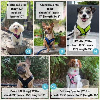 Gooby Comfort X Step-In Lite Dog Harness - Premium No-Escape, Choke-Free Design for Toy Breeds and Small to Medium Dogs - Ultra-Lightweight, Breathable Mesh, Quick-Dry, and Machine Washable