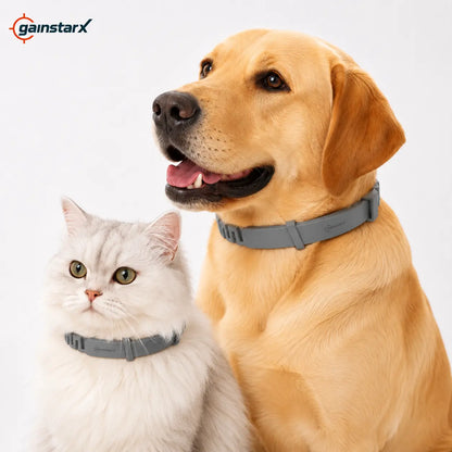 Gainstarx Adjustable Dog Collar with Fresh Scent Comfortable Lightweight Pet Collar for Large Dogs over 18 Lbs Everyday Wear for Walks and Outdoor Use