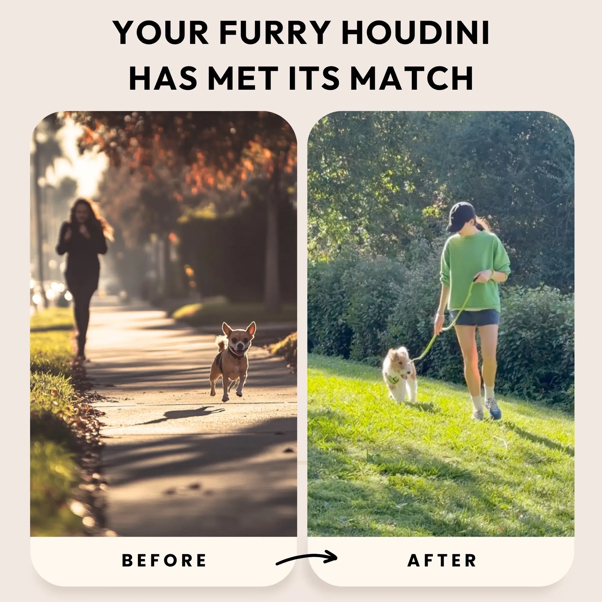 Gooby Comfort X Step-In Lite Dog Harness - Premium No-Escape, Choke-Free Design for Toy Breeds and Small to Medium Dogs - Ultra-Lightweight, Breathable Mesh, Quick-Dry, and Machine Washable