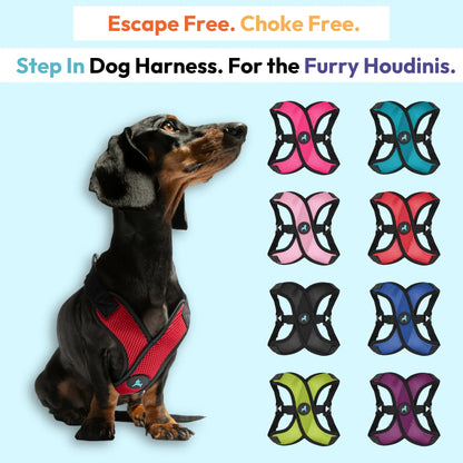 Gooby Comfort X Step-In Lite Dog Harness - Premium No-Escape, Choke-Free Design for Toy Breeds and Small to Medium Dogs - Ultra-Lightweight, Breathable Mesh, Quick-Dry, and Machine Washable