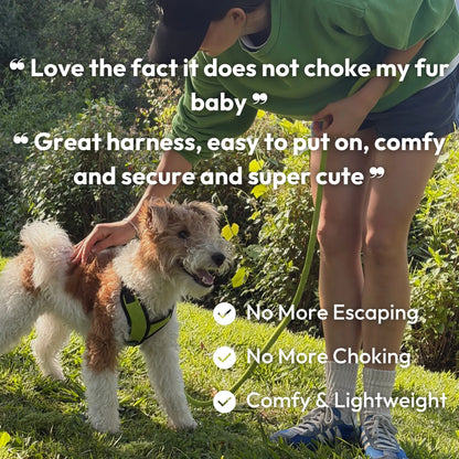 Gooby Comfort X Step-In Lite Dog Harness - Premium No-Escape, Choke-Free Design for Toy Breeds and Small to Medium Dogs - Ultra-Lightweight, Breathable Mesh, Quick-Dry, and Machine Washable