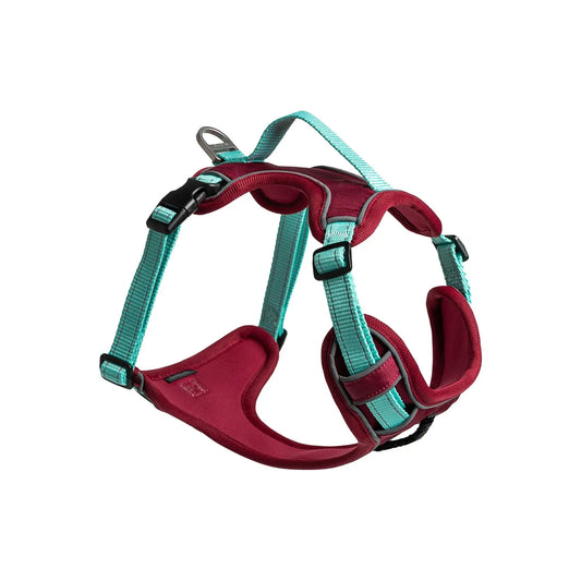 Premium Adjustable No-Pull Dog Harness - Available in 4 Sizes and 3 Colors, Escape-Proof, Reflective Design for All-Day Comfort, Easy to Clean, Durable Construction